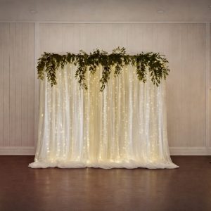 Passionate Delight Fairy Light Garland Backdrop